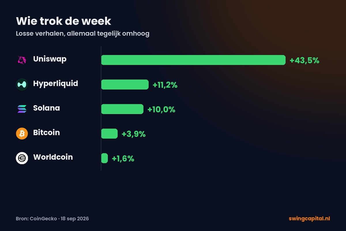 Wat er echt speelt